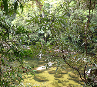Barron Gorge